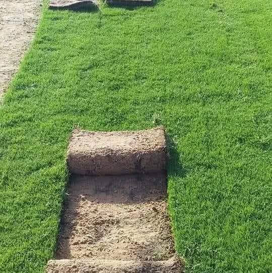 مع بدء موسم زراعه الثيل وترتيب الحدائق وفرنا لكم جميع أنواع الثيل الطبيعي 
#ثيل #هندي⛳️
#ثيل #ايطالي //يوصلك الثيل لباب البيت مباشر من المزرعه فريش وريان 
مستعدين لتنظيم وترتيب الحدايق والادامة  الشهرية بكادر متخصص ذو خبرة بمجال الزراعة  �//
 / /للاستفسار
***********يوجد واتساب 
***********
