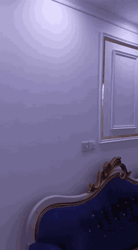 صباغ درجه اولى
اصباغ ديكور سقوف ثانويه انواع الصباغ

والديكور وتصليح الرطوبه 
بغداد ***********
