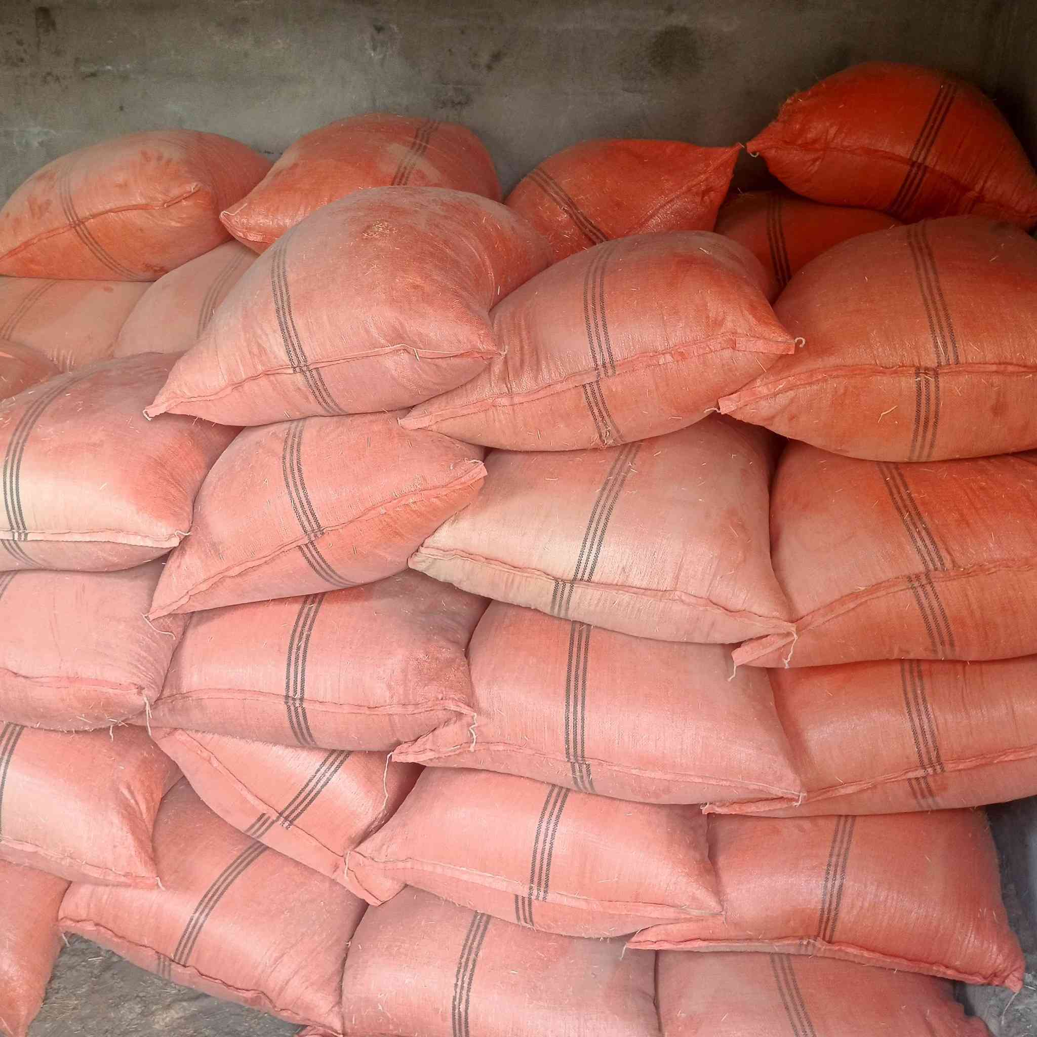 السلام عليكم يوجد تبن للبيع ويوجد توصيل داخل العلم مكلف بلنشرحسب الاتفاق ***********
