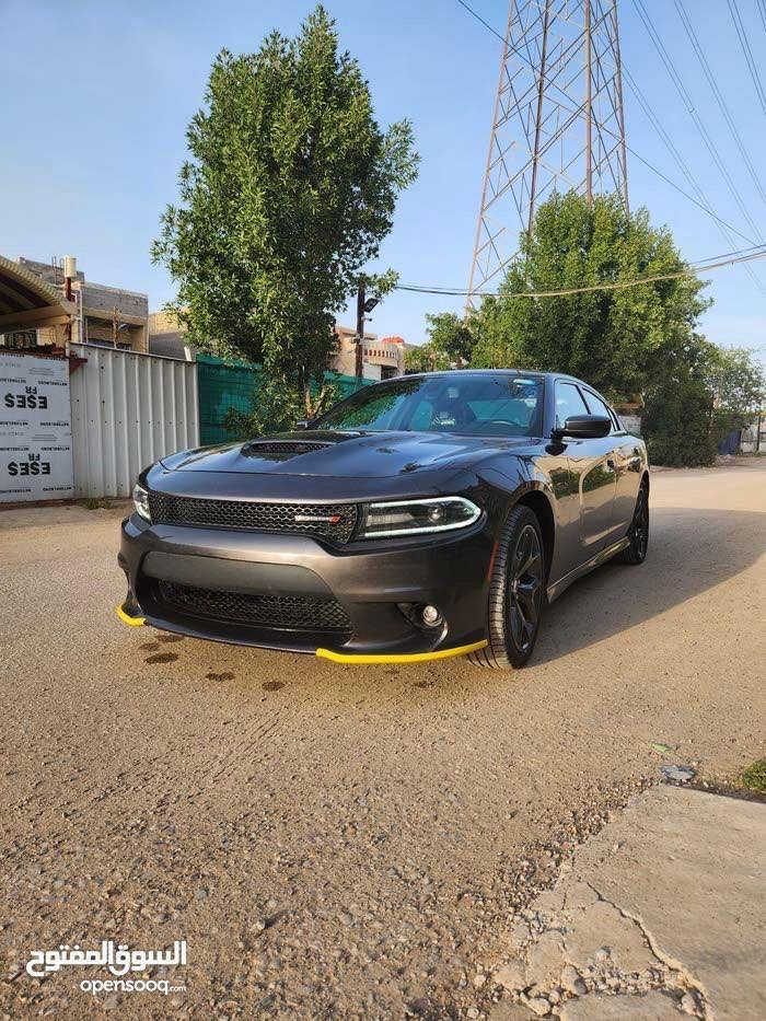 السلام عليكم
دوج جارجر ٢٠١٩ جي تي اصل 

محر ٣٦٠٠ 

لون رصاصي فيلي

الحادث جدأ خفيف بدون صبغ بدون ايرباك

من الخلف دعاميه خلفيه من الاسفل وحتى الدعاميه ما مصبوغه بيه بارد الهلال مال الجاملغ الايمن والايسر فقط ومثل ما موضح ب الصور صبغ جوه المسطره الخلفيه واسفل الدعاميه الاماميه فقط بدون فتح الدعاميه شرط الفحص

السياره جاهزه من كل شي ومواصفات الجي تي معروفه

١-كت كامل srtمن الشركه تجي

٢-شاشه كبيره + نضام سماعات الباين 

٣-كشنات حضن+كرسي السائق كهرباء

٤-ويل كب ٢٠ تو سايز+تخم تاير جديد

٥-لايت زنون عالي ناصي +والبلوجكترات

٦-دكمه سوبر تراك+شفتات ستيرن

والمواصفات الباقيه معروفه من حساس تاير وكامرا والمواصفات الباقيه وابشنات الشاشه.....

السياره جاهزه من كلشي كير ومحرك وكهربائيات 

ادامه كامله للمحرك بلكات ونوزلات وفلاتر قبل شهر سويتله ادامه كامله بانزين كله سوبر ادير السياره ماشيه ٥٤ الف ميل

مغلف القماره والبنيد ونص الجاملغات الاماميه وحتى المازدات الاماميه ppfابو الضمان وعندي سونار قبل وبعد ال ppfوالسونار موجد وين يعجبك افحص 

السياره رقم بغداد الجديد بسمي ثاني يوم التحويل

السعر ٢٣٠٠٠$ يعني ٢٣٠  ورقه بيه مجال قليل 

السياره موجود بغداد شهداء البياع 

***********

ابو حيدر
