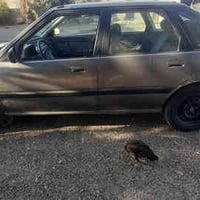 هوندا • ١٩٩٣ • اوتوماتيك