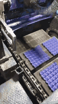 اطباق بيض بالجملة • بالة ١٠٠ طبقة • بعقوبة الصناعة الثالثة