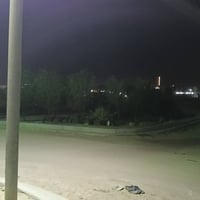 الزبير البصرة • بيت ركن • حديقة مزروعة