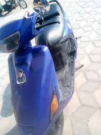 فراشه • مفتوحه • الشوملي