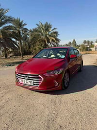 النترا ٢٠١٨ • وارد أمريكي • صبغ عام