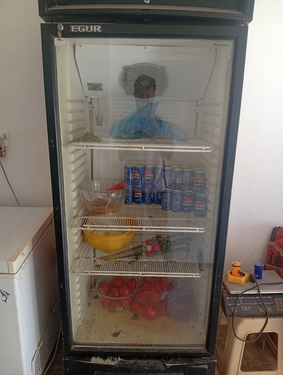 سلام عليكم
موجود مطعم فلافل للبيع كامل 
براد حجم كبير 300بي مجال
طباخ فلافل 250بي مجال 
مجمده 130بيه مجال
كراسي 4طبلات 2.    20الف
ميز الالمنيوم 3متر 70الف بي مجال
جام خانه هيه الميز مالته 150الف
نواعم هويه كلشي بحسابه تريد تجي شوف غراض هلا بيك 
رقم ***********
ديالى بعقوبة دور زراعه الثالثه
سنك هم سل ستيل 80بي مجال

