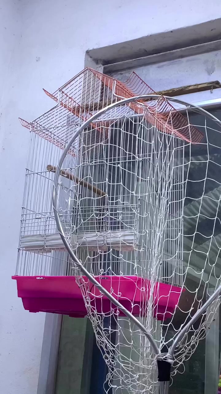 سلام عليكم الحجامي في خدمتكم
كل مستلزمات طيور الزينه اقفاص ومشربيات ومكملات غذائيه متوفره وبأنسب الاسعار


**إذا كنت صاحب هذا الإعلان وتريد حذفه لأي سبب، رجاءا أرسل رسالة إلى الدعم الفني**