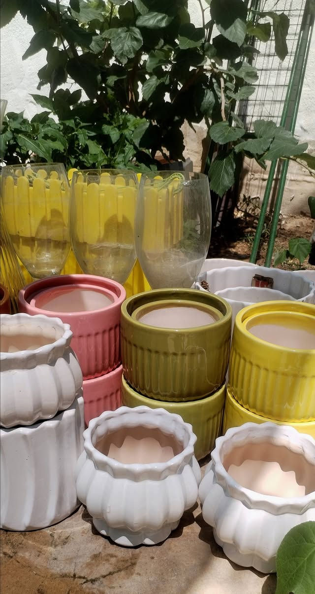 مجموعة السنادين اللي وصلتنا هاي صورها وية الأسعار أسفل الصور حتة لا تحتارون
كل ماعليكم مراسلتنا خاص او واتساب على الرقم *********** وتدللون
عنوان مشتلنا خانقين بختياري الثانيا نهاية شارع العصائب واسواق صالح حمود وعدنا توصيل داخل خانقين وجلولاء والسعدية راسلونا وتدللون علينا
