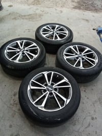 تخم ويل كب فورتي سيراتو أصلي شركة العنوان بغداد الشعلة 07903968841 077...