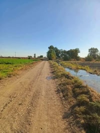 ٤ دوانم • سند مستقل • التاجي سبع البور