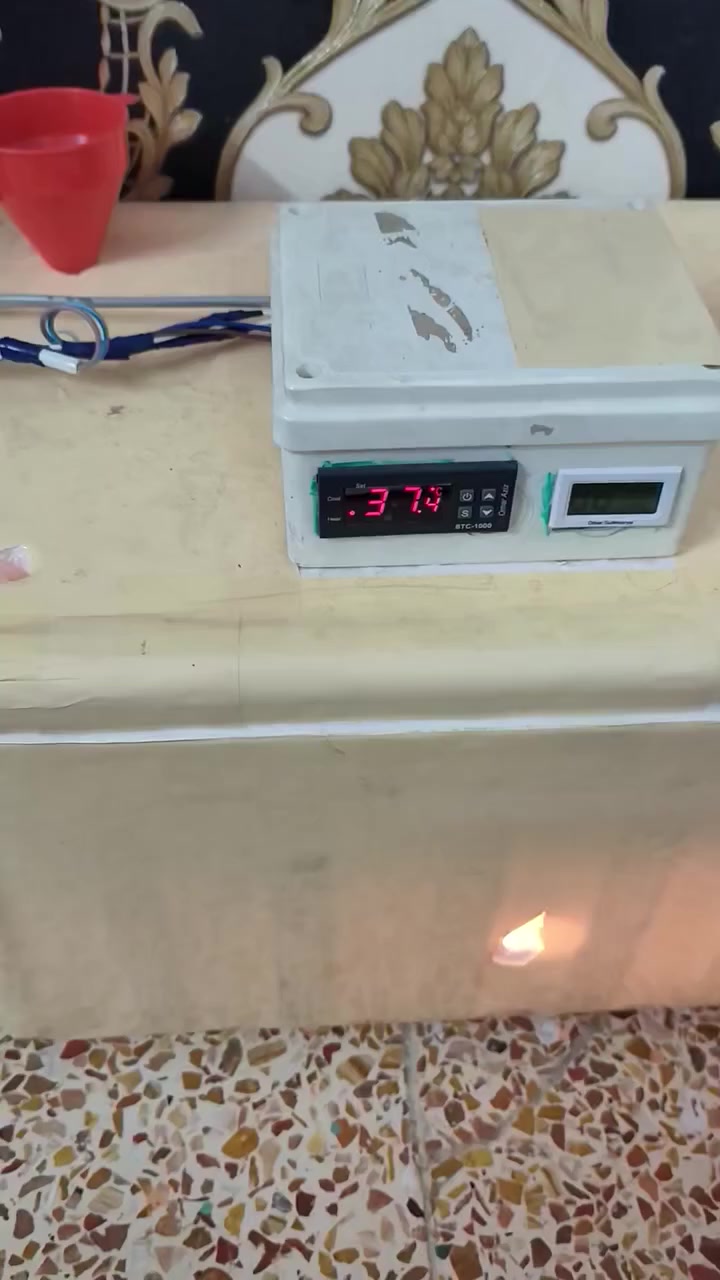 فقاسه فلين حراره ورطوبه اتمتيك تقليب يدوي مرتين بل يوم فقاسه مستخدمه اكثر من وجبه


**إذا كنت صاحب هذا الإعلان وتريد حذفه لأي سبب، رجاءا أرسل رسالة إلى الدعم الفني**