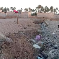 كربلاء طويريج • ١٠٠م • سند٢٥