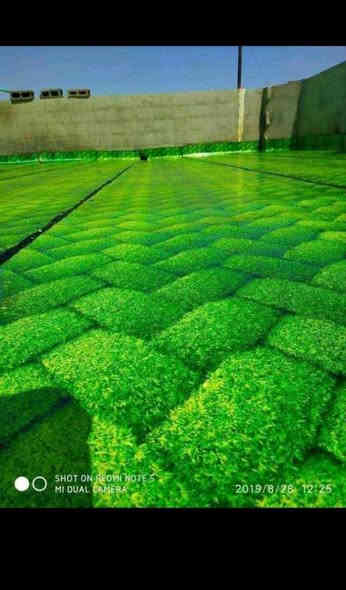 احمد الشمري*********** ،،،،، للماده الدرجه الاولى فقط ،،،،،
سعر المتر الايراني 4000 دينار
  سعر المتر الأيراني 6mm الثقيل 5000 دينار 
سعر المتر الأيطالي 6mm 
6 الاف دينار
مع وصل ضمان من الشركه
 تعلن شركة ربيع دجلة للأيزوكام العاكس للحرارة🌞🌡🌞 والمانع للرطوبه🌧🌧 عن استعداده لتغليف سطوح المباني الحكوميه والاهليه وبأسعار مناسبه جداااا مع ضمان جودة العمل ،، 20  سنه ،، ⛈الأيزوكام يعكس الحرارة🔥🔥 بنسبه80 % عن بيتك ويتحمل كل ضروف المناخ   ⛳تعمل المادة على الصب⛳ والفرشي⛳ والأشتايكر⛳ والجينكو⛳ والسندويج بنل⛳ و على سطوح المزفته⛳  وتغنيك هذه المادة عن استخدام الطرق القديمه في البناء الثقيله والمكلفه مثل التراب والنايلون والفلين والطين ......الخ 🎗🎗🎗للأستفسار يرجى الأتصال على الرقم☎️☎️***********☎️☎️ لسنا الوحيدون لكننا الأفضل  🕯🕯تعمل كوادرنا من شمال العراق الى الجنوب  ؛؛؛ اترك عنوانك ونجيك الباب بيتك وتدلل.. سوي مشاركه للمنشور ..فضلا وليس امراا المدائن
