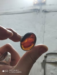 ٣ محابس • حلوات • نهاية الناصرية مركز