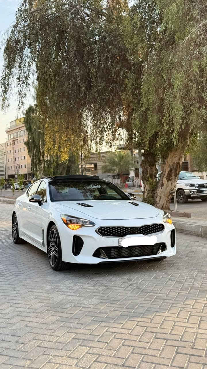 سلام عليكم
للبيع 
كيا ستنكر
Gt1
2022
V6توين تيربو ✈️
فول مواصفات
تشغيل عن بعد 
تبريد قطعتين
4 انضمه
سبورت ويكو ونورمال وسمارت
بصمه+ترحيب بالمري
بصمة باب
بصمه جنطة
رادار امامي 
رادار جانبي
صدر جديد 
تخم تاير جديد 
كير مكينه مكفول
فجوج برمبو
سماعات هارمن كاردن 15 سماعه
تحديد مسار
ستيرن دي
شفتات ستيرن
حساس امامي خلفي
اوتو ستوب 
اناره داخليه7 لوان 
ماشي ٣٥ مايل
حادث بنيد وحافه الجاملغ
مصبوغ البنيد وجاملغ وقل شبر بالباب
بدون ايرباك 
بدون دواخل لا شاصي ولا لغد مكفولات 
رقم اربيل بسمي تريد تحويل تريد وكاله
سيارة ربع متصرف عليه 
ترايه زيرو
سعر 200وبيه مجال
عنوان بغداد الكاظمية 
***********
