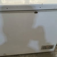 مجمدة • تجميدة فول • بابليون