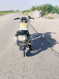 ٢٠٢٤ • شكل ٢٥ • بلادي