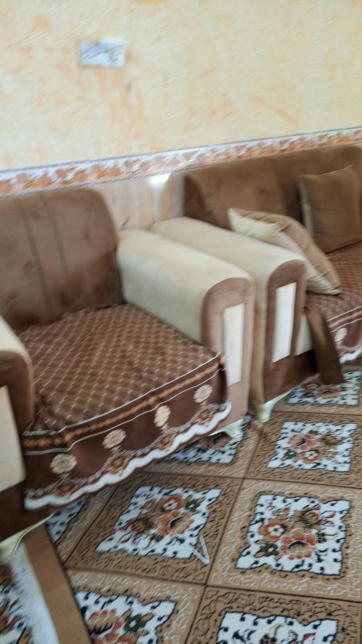 تخم نضيف للبيع كلش جديد للاستفسار اتصال ‏‪***********‬‏
