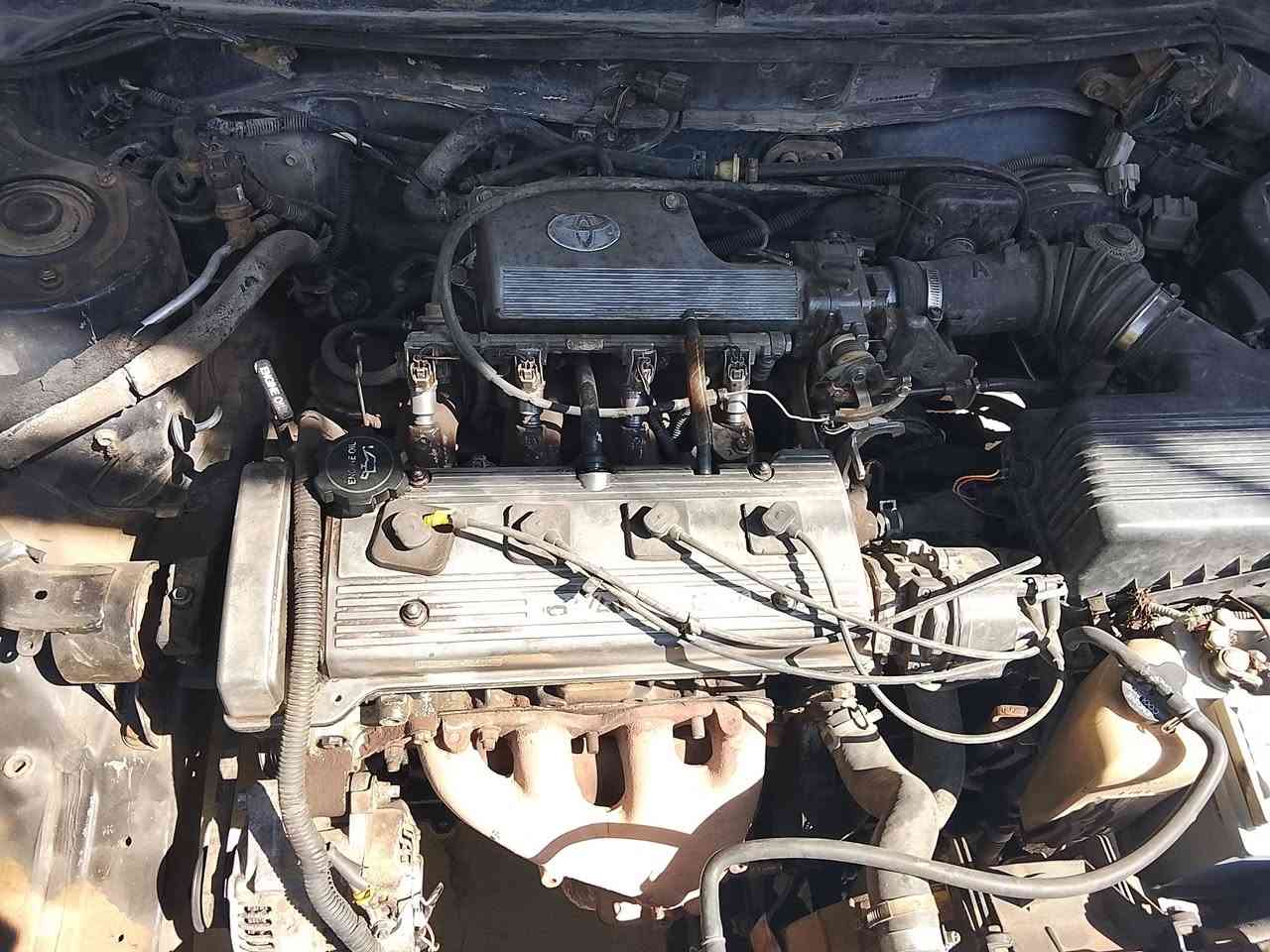 كورلا حبل بدون ارقام
محرك وكير شرط جديدة مال كصه
تخم تواير جديدة
صدر تعبان 
السعر15 
***********
مكاني بيجي قريه البوطعمه
