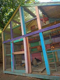 قفص طيور الحب نظيف كلش قياس ٢متر ×٢متر جاهز خشب بلوك وبراغي مو مسمار م...