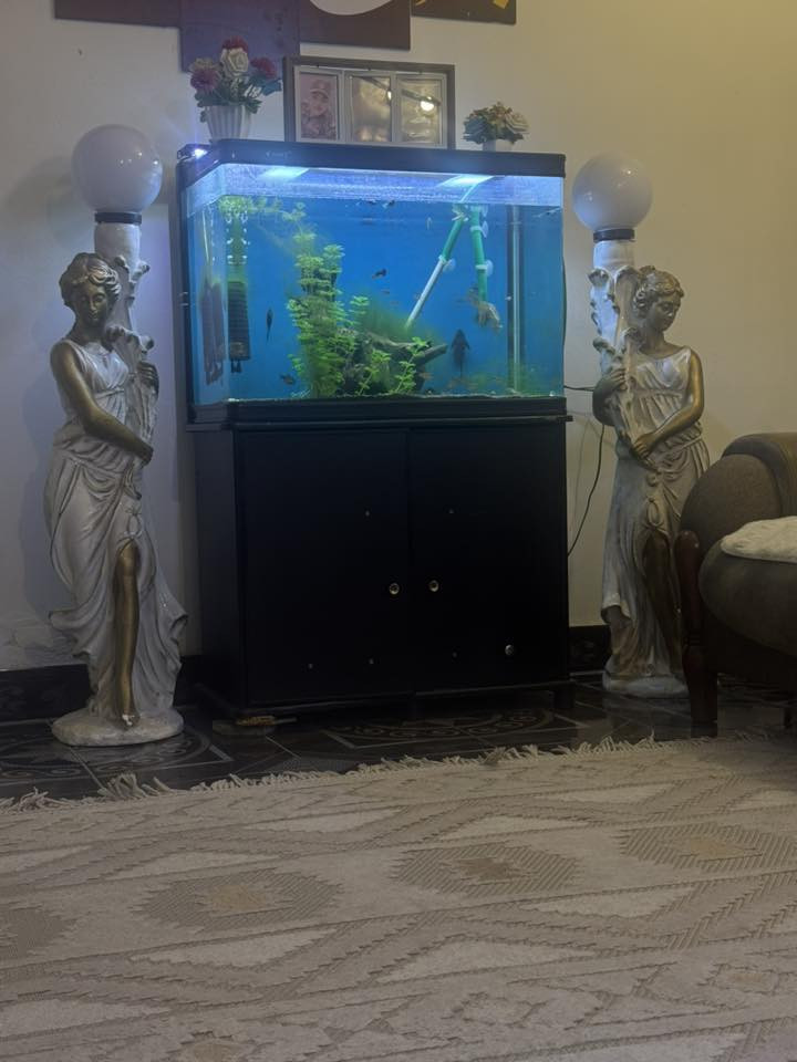 سلام عليكم عندي طبله حجم وسط جديده ماييه أضرار تسكام عندي تماثيل ثنين بيهم تيبلم  للبيع صب ثقيلات


**إذا كنت صاحب هذا الإعلان وتريد حذفه لأي سبب، رجاءا أرسل رسالة إلى الدعم الفني**