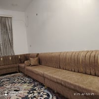 تخم • للبيع
