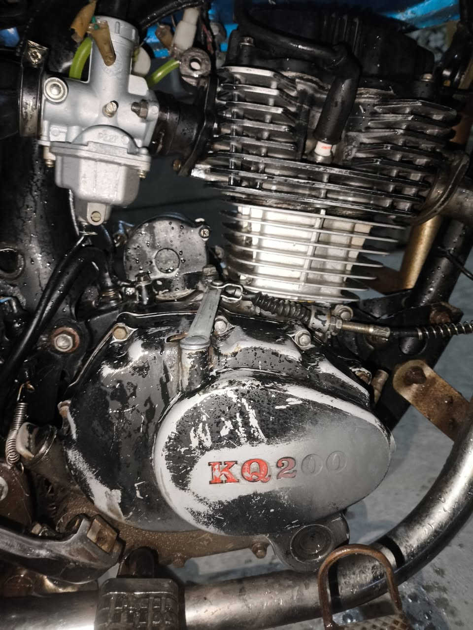 السلام عليكم البيع جني 200KQالسعر200وبي مجال مكاني بيجي البوجواري ***********
