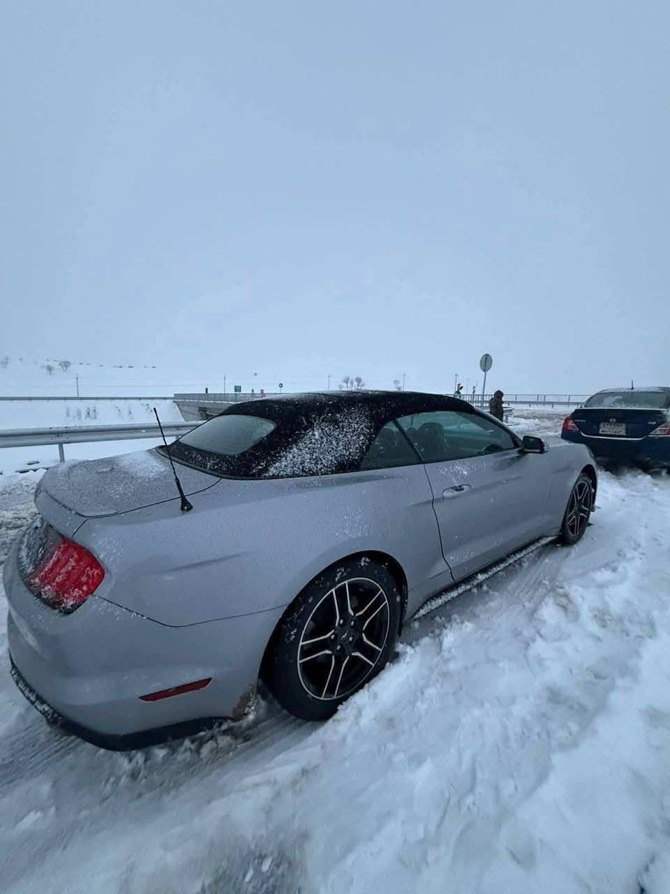 موستنك 2023
***********
واتساب
