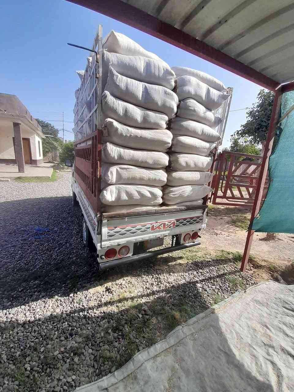 السلام عليكم 
يوجد تبن للبيع مال حنطه گونيه ام 55 مال السنه درجه اولى سعر الجوز 2500 للستفسار اتصل 
***********
***********
