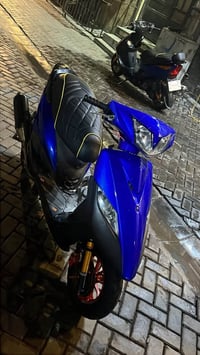 سكنس ثعلب • مزوعه • اصليات