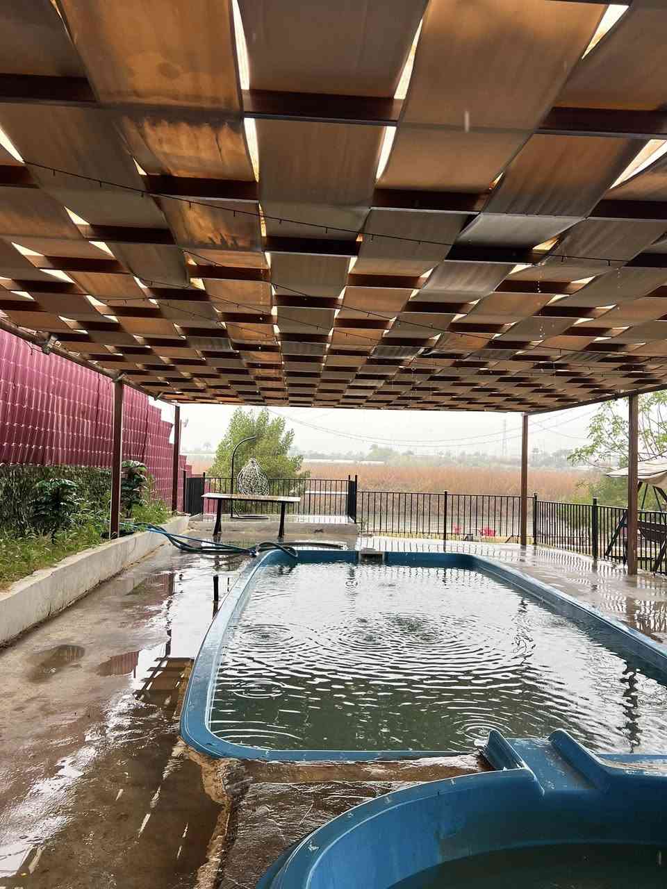 مزرعة اجار يومي 💐
العنوان بغداد المدائن - مزرعة شاطية🏝️
للحجز والاستفسار على الرقم ***********
