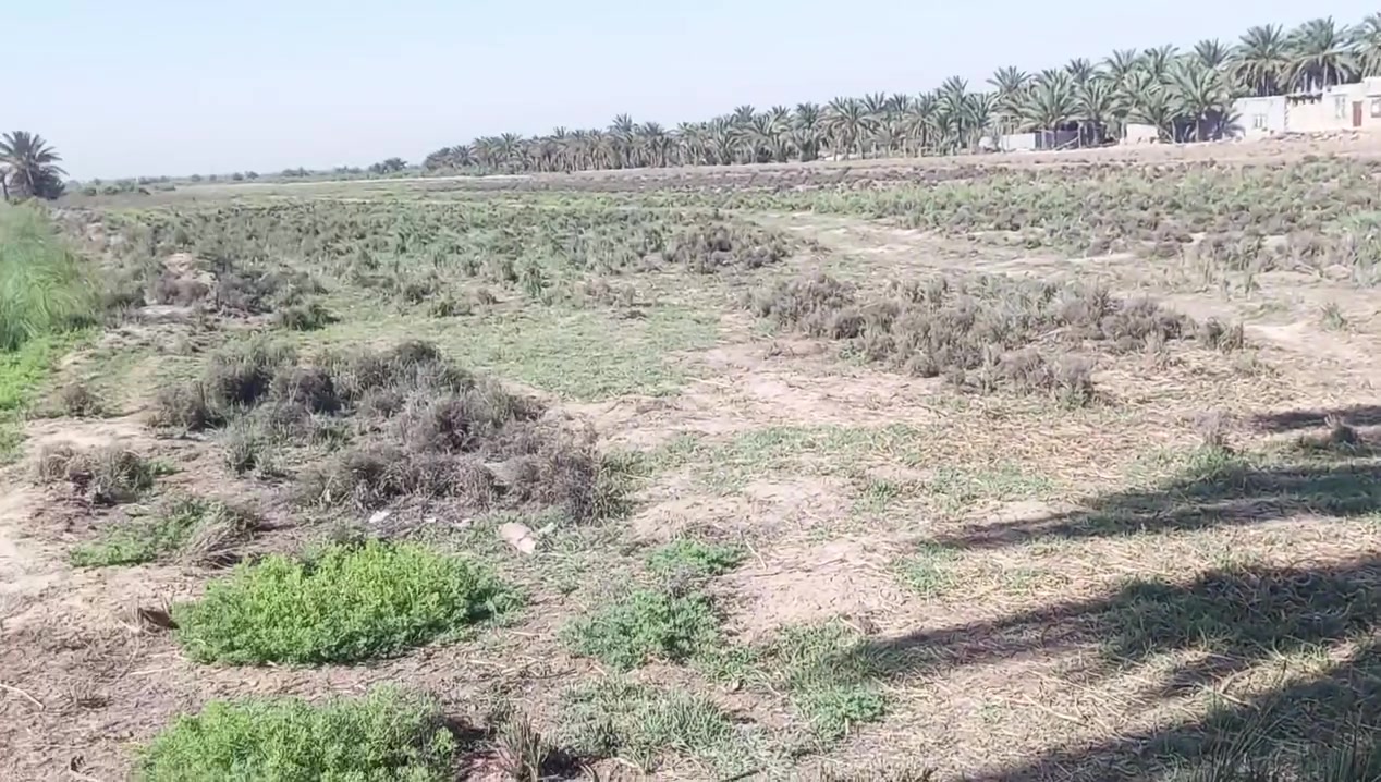 تسعه دونم طابو زراعي سند 25 تحويل اسهم
وجه الارض 35 متر 
تفاصيل الارض بالفيديو 
موقع كربلاء طوريج ناحيه الرجيبه 
سعر دونم 25 قفل
***********
***********
