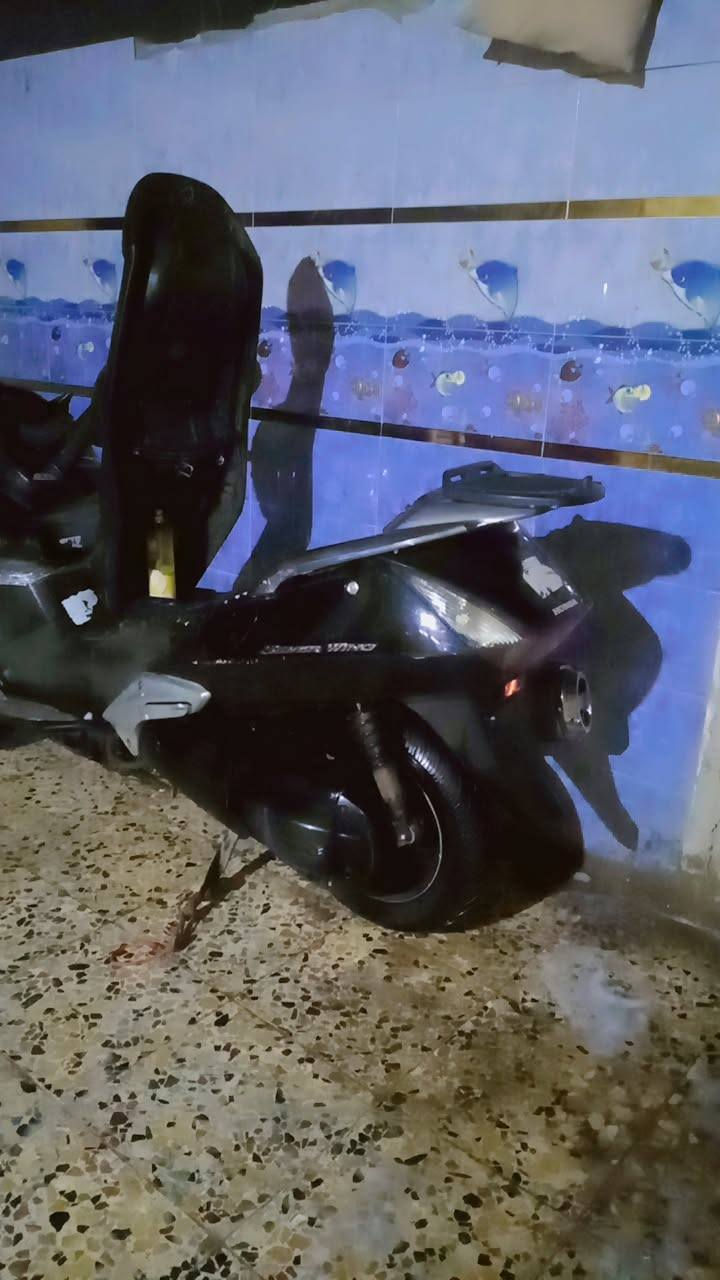 سلام عليكم سلفر لبيع ***********
