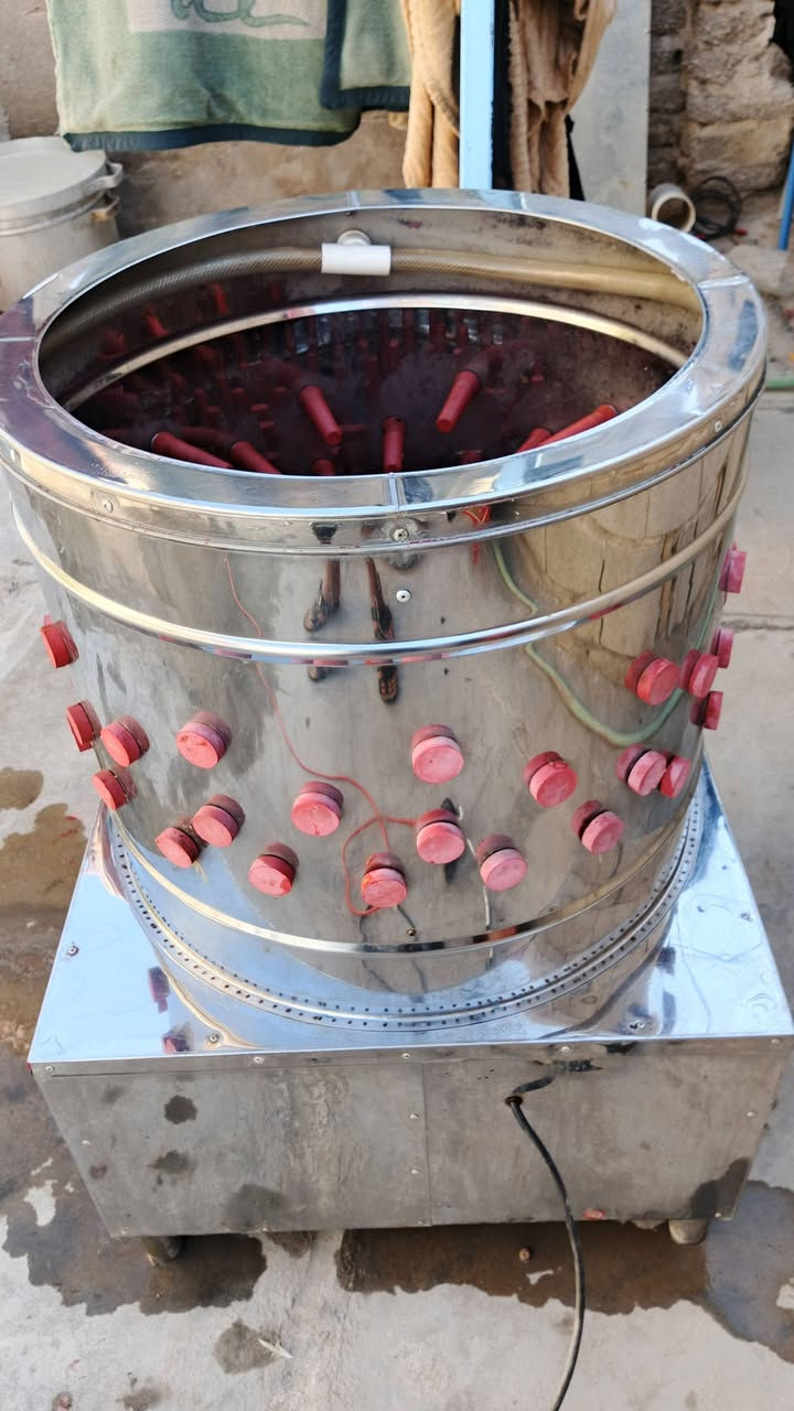 هلاسه دجاج للبيع إستعمال قليل السعر 250
الشراي يتصل ما متواجد عالفيس ***********
واكون غراض قفاصه وسنكي وبراميل وطباخ وچزمه سعرهم لوحدهن
