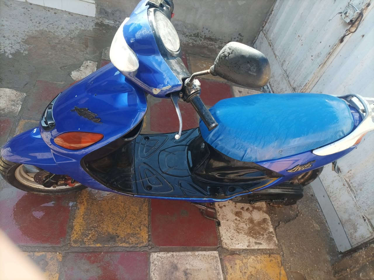 السلام عليكم 
للبيع دراجه اكزز 100، دراجه مال بيت نضيفه جدا 
كلشي شغال كهربائيات وسلف وهندر، اي نقص مابيها تنگر سويچ وتطلع 
السعر 400 وبيها مجال للطيبين، مكاني حله بابل شارع 80


**إذا كنت صاحب هذا الإعلان وتريد حذفه لأي سبب، رجاءا أرسل رسالة إلى الدعم الفني**