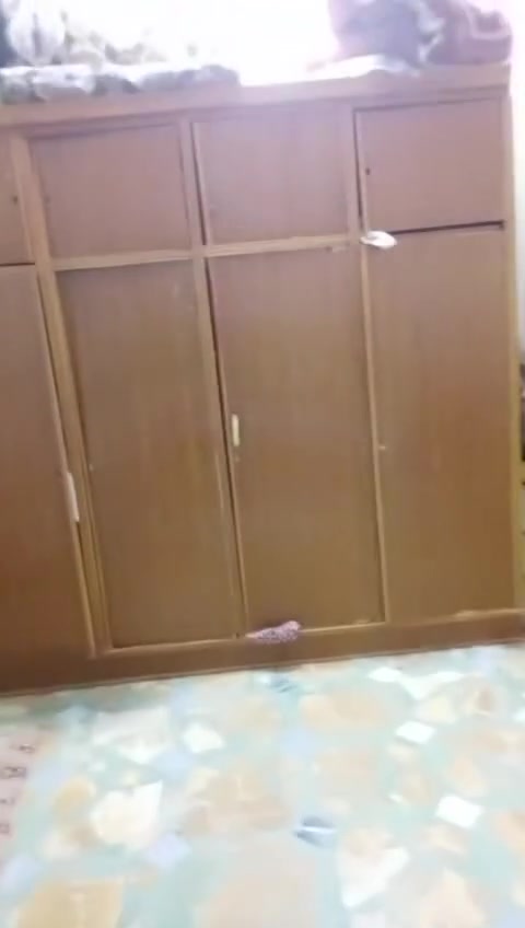 السلام عليكم ورحمه الله وبركاته عندي ذني الاغراض كلشي مابيهن عل فحص المكان الديوانية قضاء الشاميه حي العسكري الغربي لمو شاري لا يطب حسله خاص مفتوح


**إذا كنت صاحب هذا الإعلان وتريد حذفه لأي سبب، رجاءا أرسل رسالة إلى الدعم الفني**