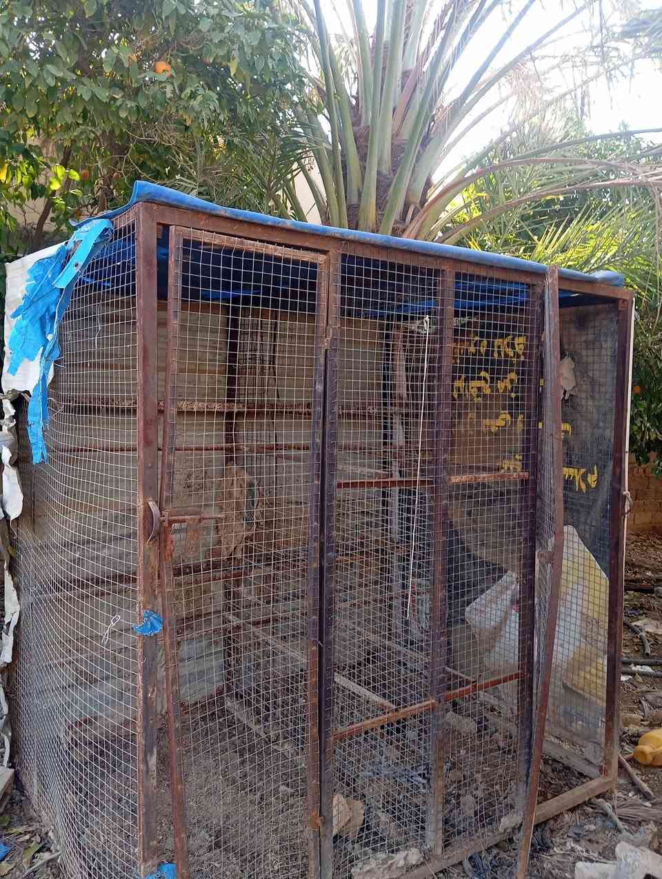 قفص للبيع
خانتين شغل حطاطة مال مخاليف هذا كدامكم بالصورة 

***********
