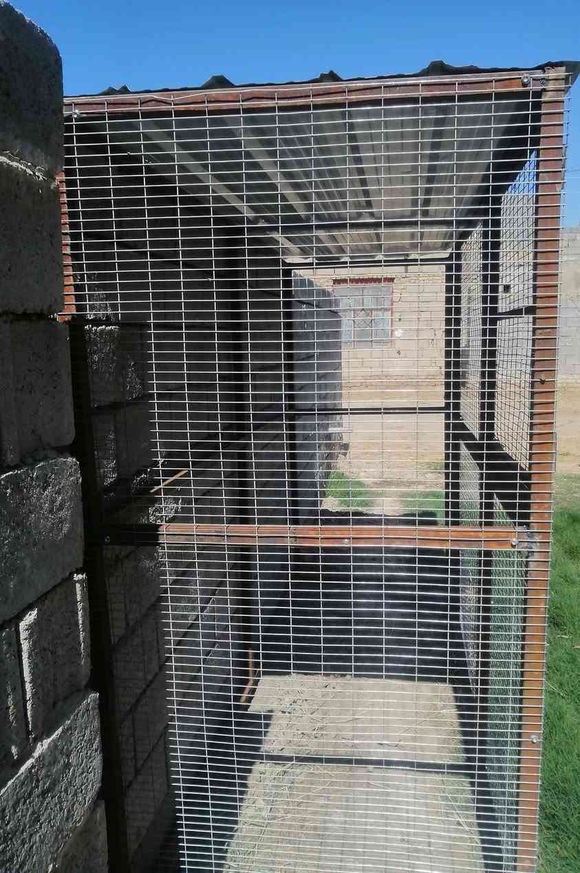 قفص لبيع كامل 
#السعر ب125 قفل 🔒
والشري يتصل ***********
