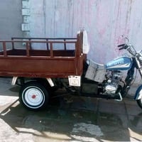 شباب ستوته للبيع  07833826911