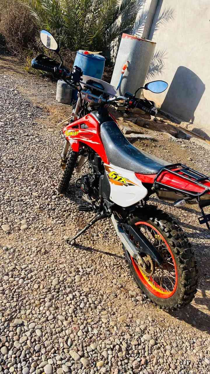 السلام عليكم مكلف بالنشر
كاويار2024 كلو شرط 
السعر مليون و100مكان 
جنوب الموصل كياره 
***********
