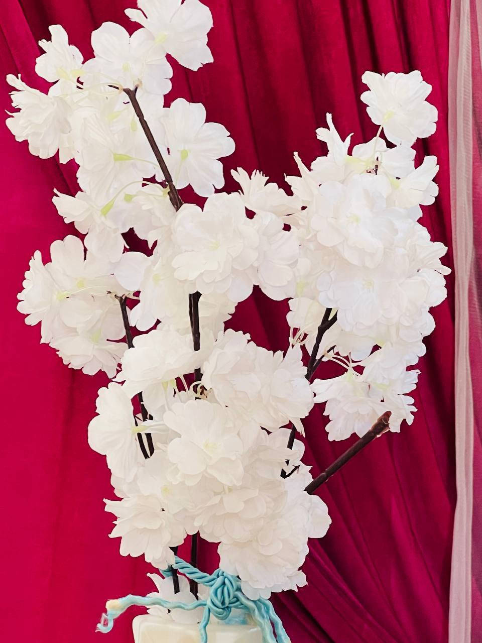 كوشه كامله للبيع
مستعجل 
*********** وات ساب
