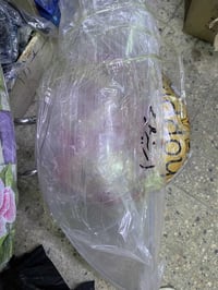 جام لايت • أريزو 5 • أريزو 6