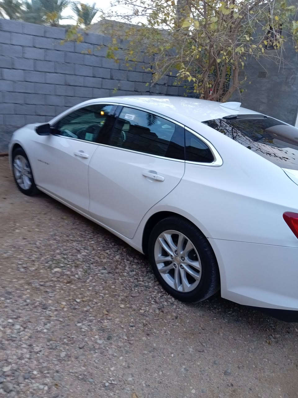 ماليبو ١٨
Lt
سعرهها 100
***********
