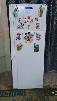 فستل لون مييز • ٢٤قدم • فريز خارجي