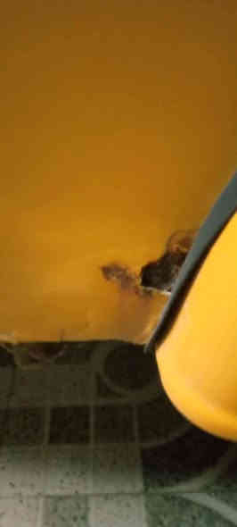 تكتك مديل 21 مرقمه السعر 7و 250 مكاني بغداد الشعب مامتواجد على الفيس بس على الرقم ***********
