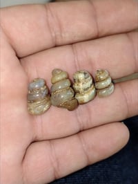 تفاصيل • خاص • ماسنجر