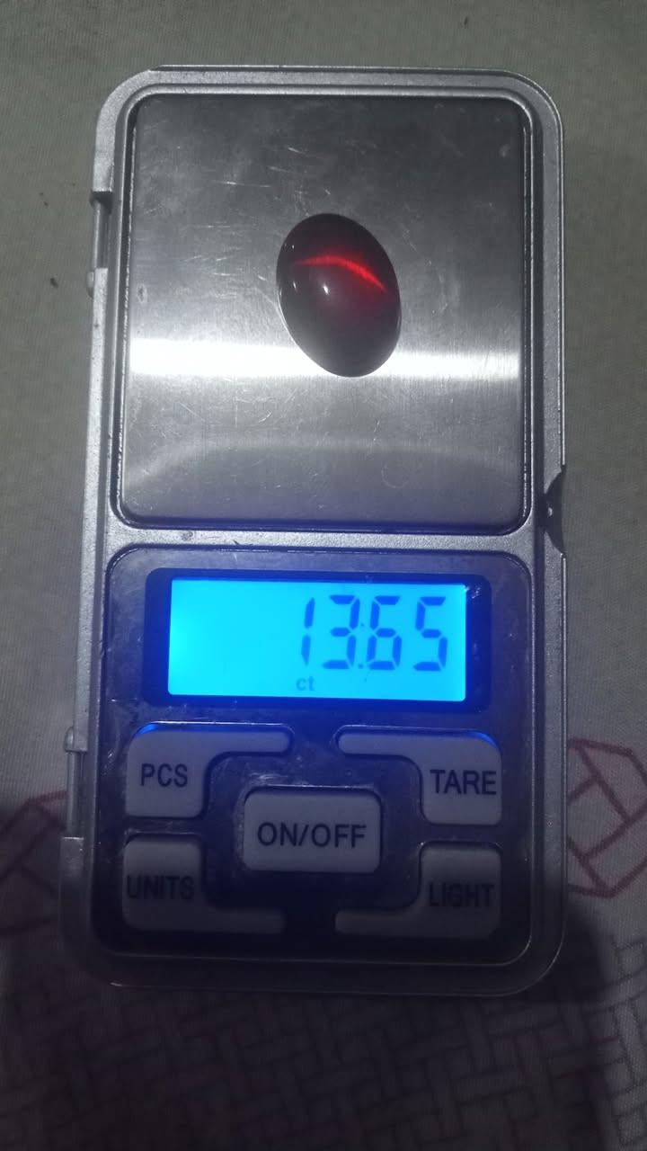 للبيع فصين ياقوت احمر لأعلى سعر 201124033287+


**إذا كنت صاحب هذا الإعلان وتريد حذفه لأي سبب، رجاءا أرسل رسالة إلى الدعم الفني**