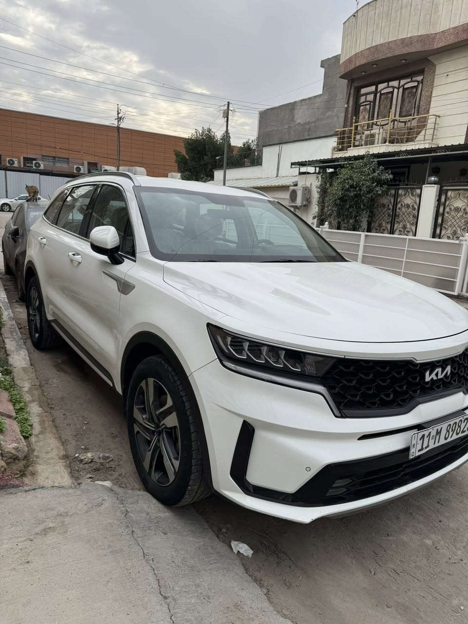 سورنتو 2022 خليجيه مكفوله
4 سلندر محرك 2500 Mpi 
ضمان الشركة الدوليه العراقية 
رقم بغداد بأسمي
7 راكب 3 قطع تبريد
عنواني بغداد الكرخ 
السعر 250 
***********
