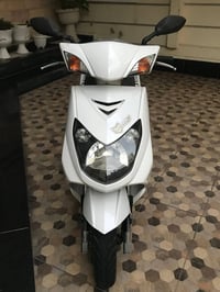 سكنس فحل • نوزل خطين • ماشية ٤٢٠٠٠