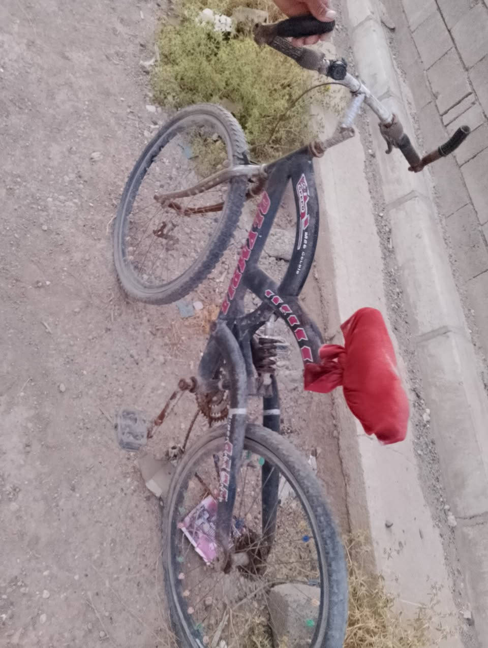 خوان عندي هاذا الباسكل للبيع حجم 26  يعوزو بس جوب ورا وجدام ادفع سعر اذا عجبني ابيعك


**إذا كنت صاحب هذا الإعلان وتريد حذفه لأي سبب، رجاءا أرسل رسالة إلى الدعم الفني**